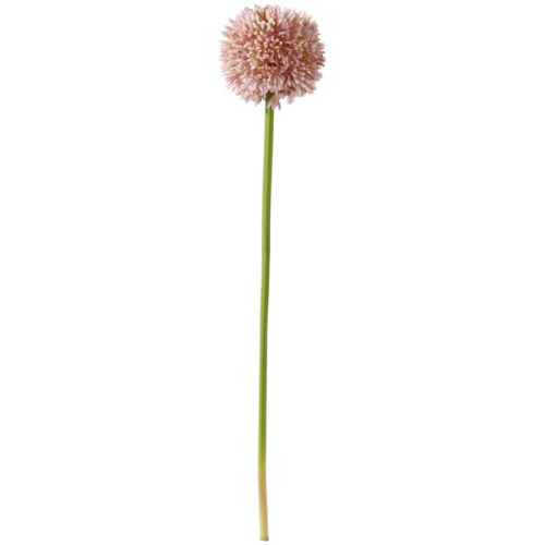 Umělá Květina Allium I